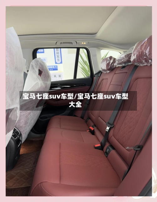 宝马七座suv车型/宝马七座suv车型大全-第2张图片