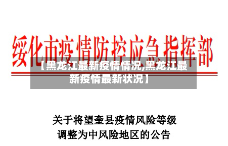 【黑龙江最新疫情情况,黑龙江最新疫情最新状况】-第2张图片