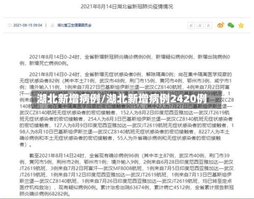 湖北新增病例/湖北新增病例2420例