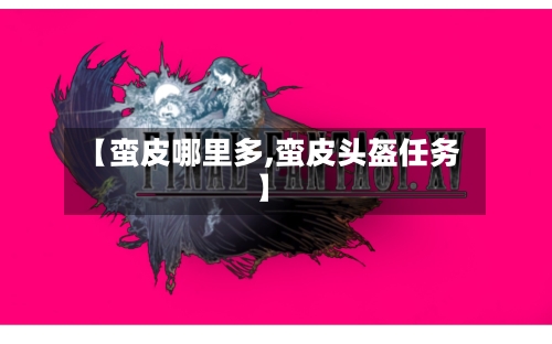 【蛮皮哪里多,蛮皮头盔任务】-第2张图片