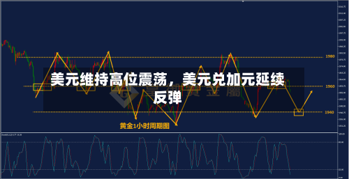美元维持高位震荡,美元兑加元延续反弹