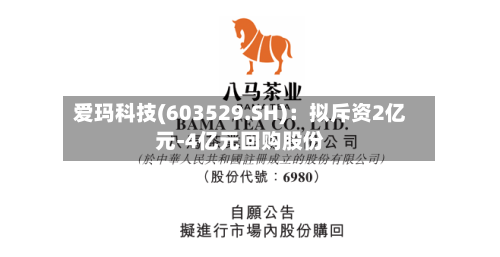 爱玛科技(603529.SH)：拟斥资2亿元-4亿元回购股份