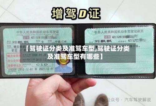 【驾驶证分类及准驾车型,驾驶证分类及准驾车型有哪些】-第2张图片