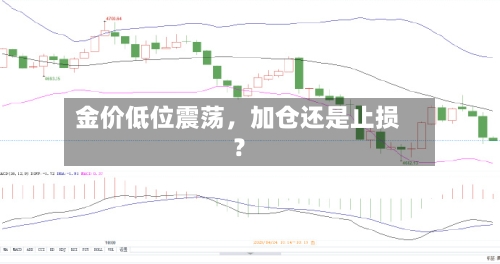 金价低位震荡，加仓还是止损？-第2张图片
