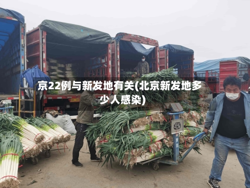 京22例与新发地有关(北京新发地多少人感染)