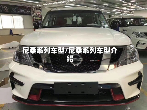尼桑系列车型/尼桑系列车型介绍-第3张图片