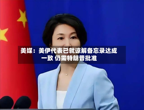 美媒:美伊代表已就谅解备忘录达成一致 仍需特朗普批准-第2张图片